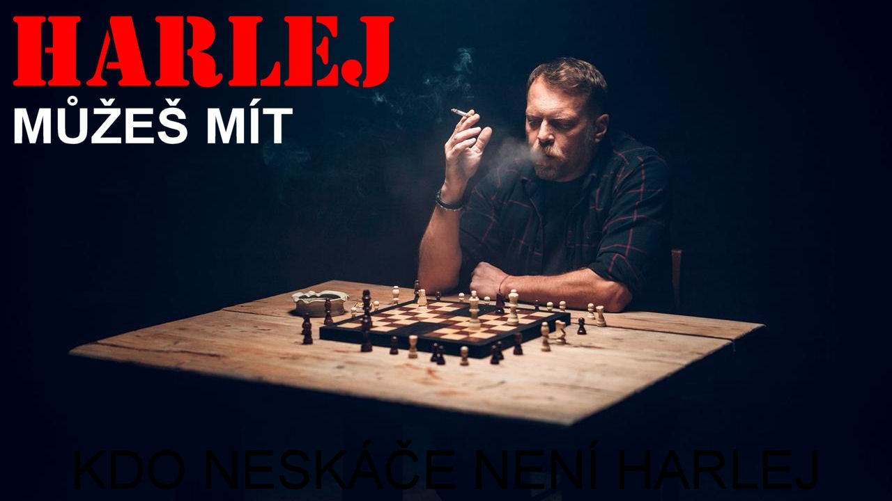 Harlej - Můžeš mít (Official Video)