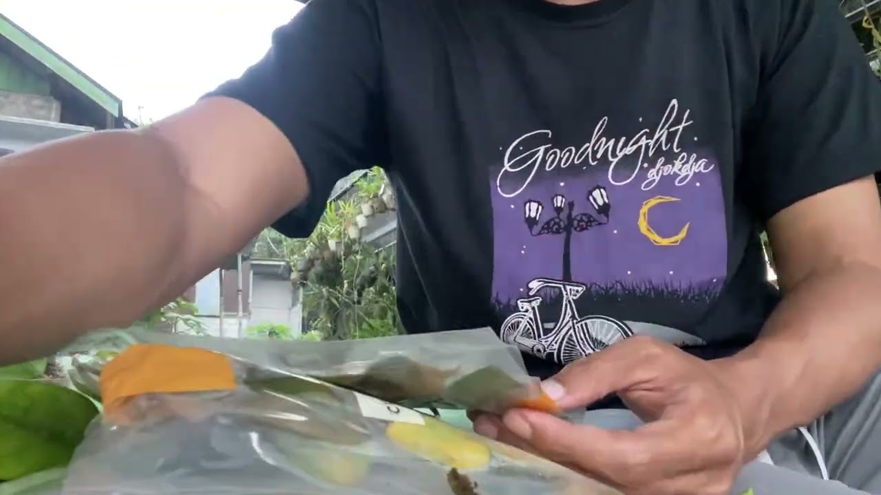 Unboxing Tanaman Hoya Sedih Kecewa Kesal Karena Banyak Yang Busuk 