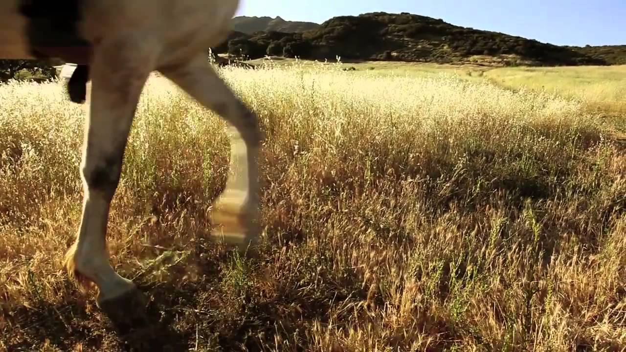 Adanowsky - Dime Cuándo