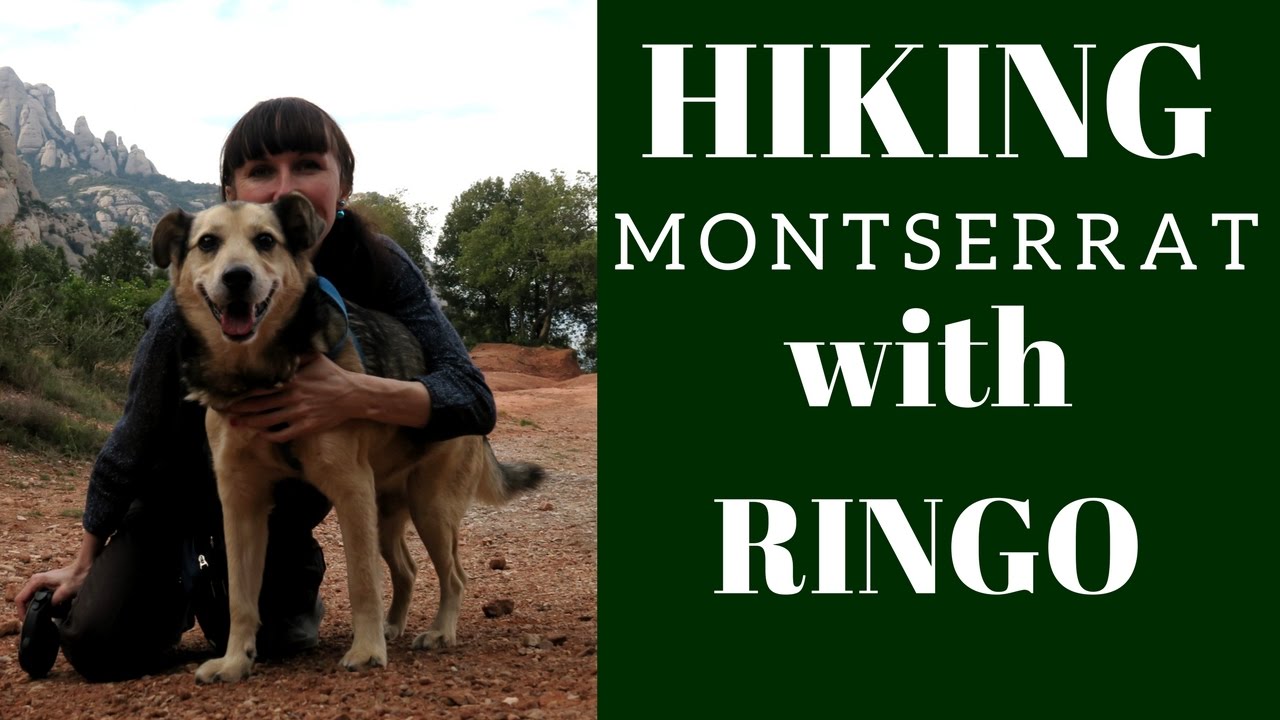 Hiking with my dog Ringo! Montserrat Mountain (Catalonia, Spain)