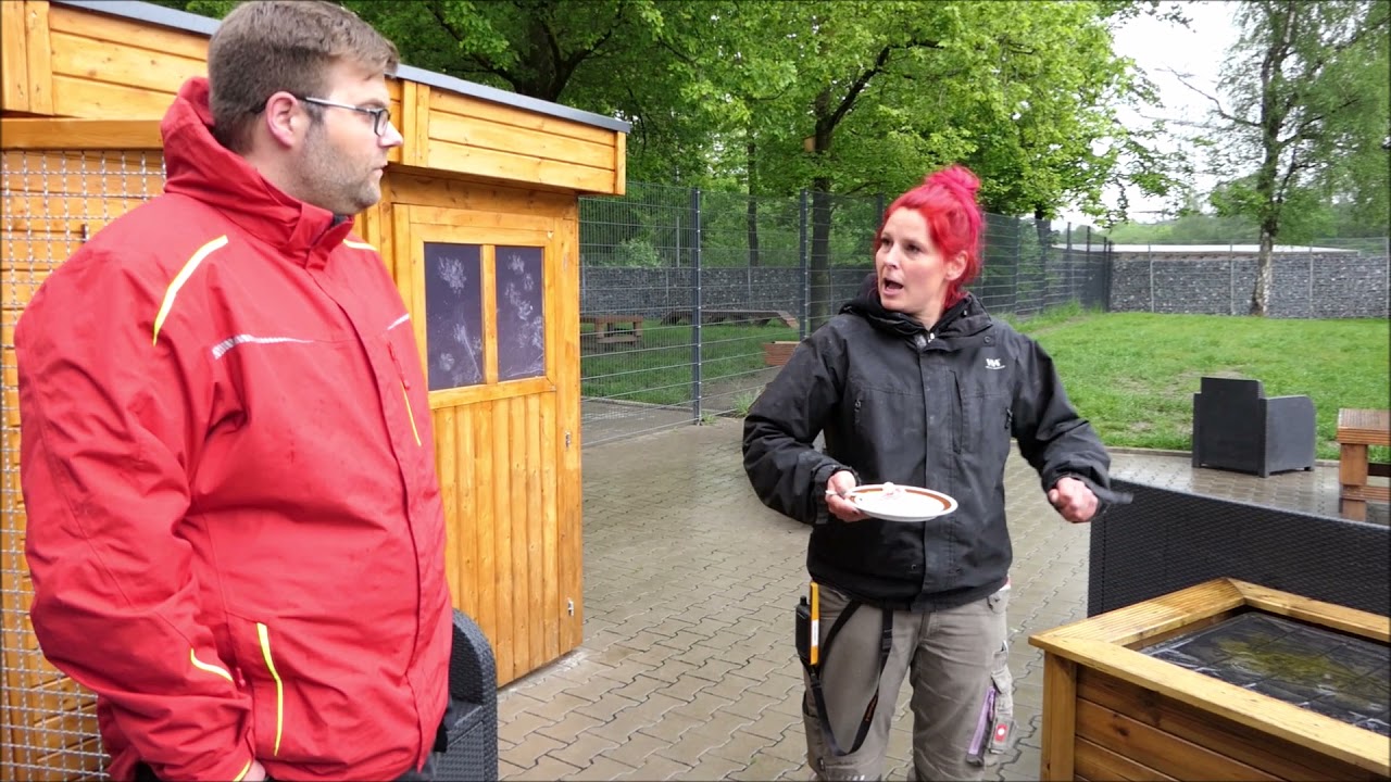 Das Tierheim mal anders - Das Kangalpaar