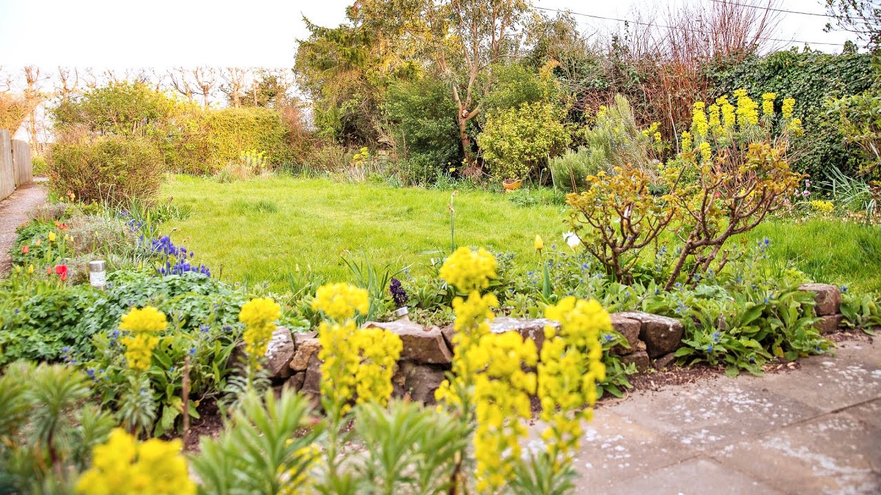 New home, new garden | Home Grown Journal | #1