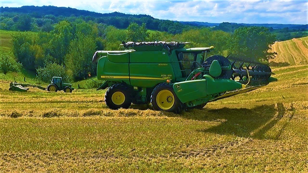 Harvesting Oats!