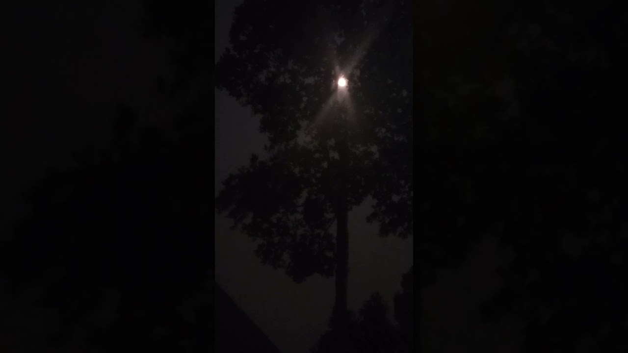 full moon 