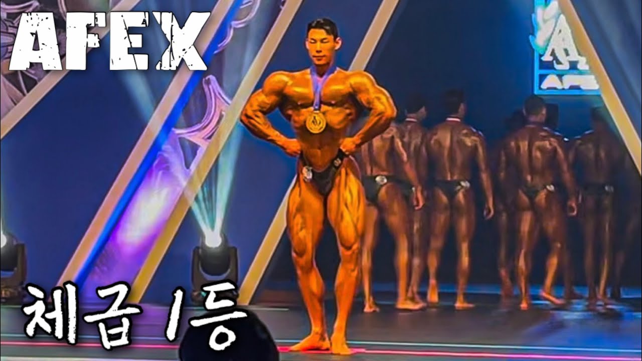 엄마 나 1등 했어 조각상들의 전쟁 AFEX 클래식모델