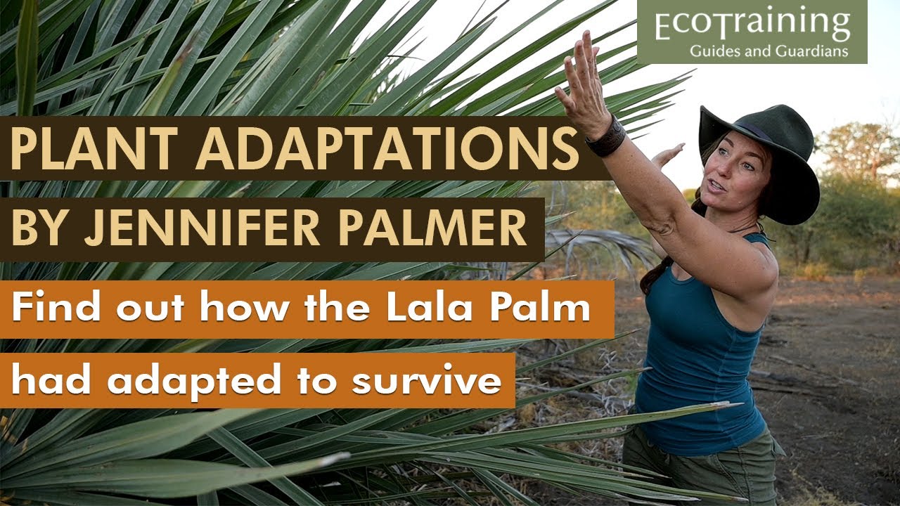 Flora Fridays: Jennifer Palmer | Plant Adaptations 4