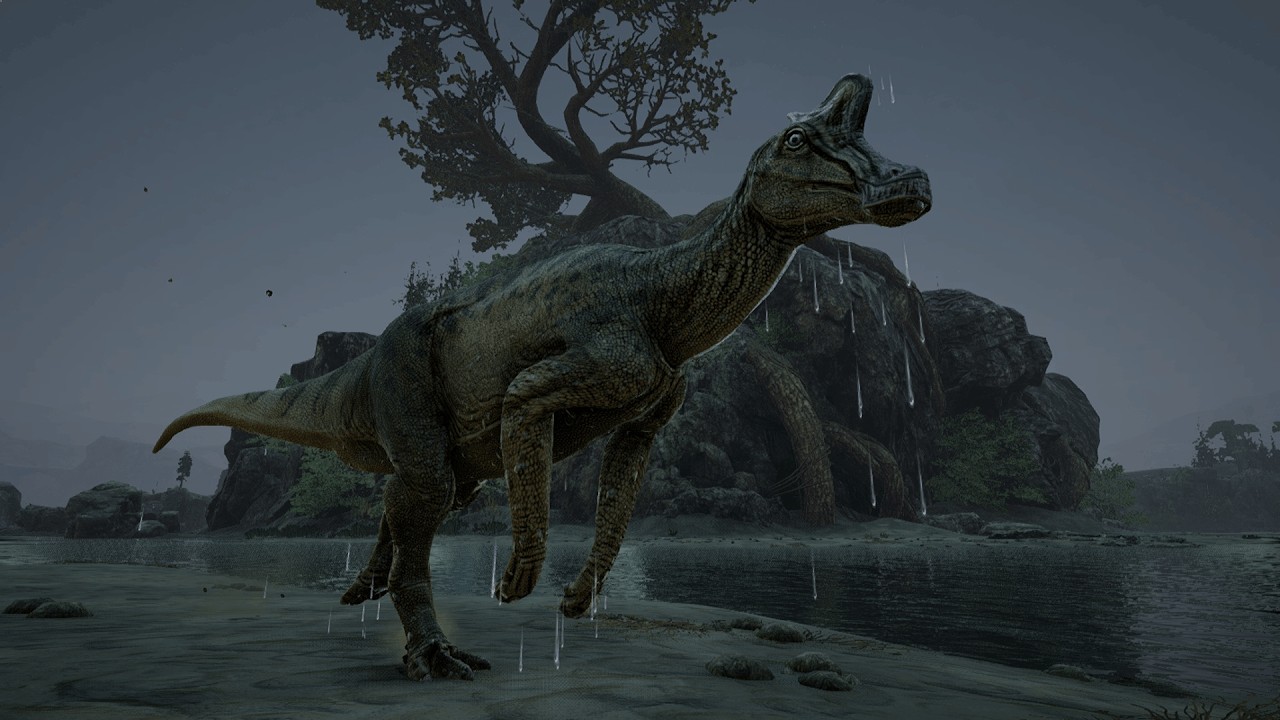 Lambeo Explores Riparia