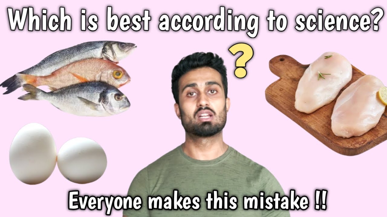 Chicken vs Egg vs Fish which is best for you | The mistake you always make