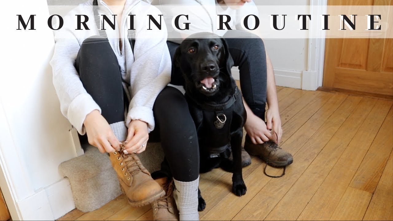 MORNING ROUTINE | NEW DREAM HOUSE | James and Carys