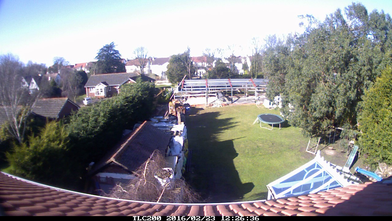 very slow workshop time lapse with rabbits playing