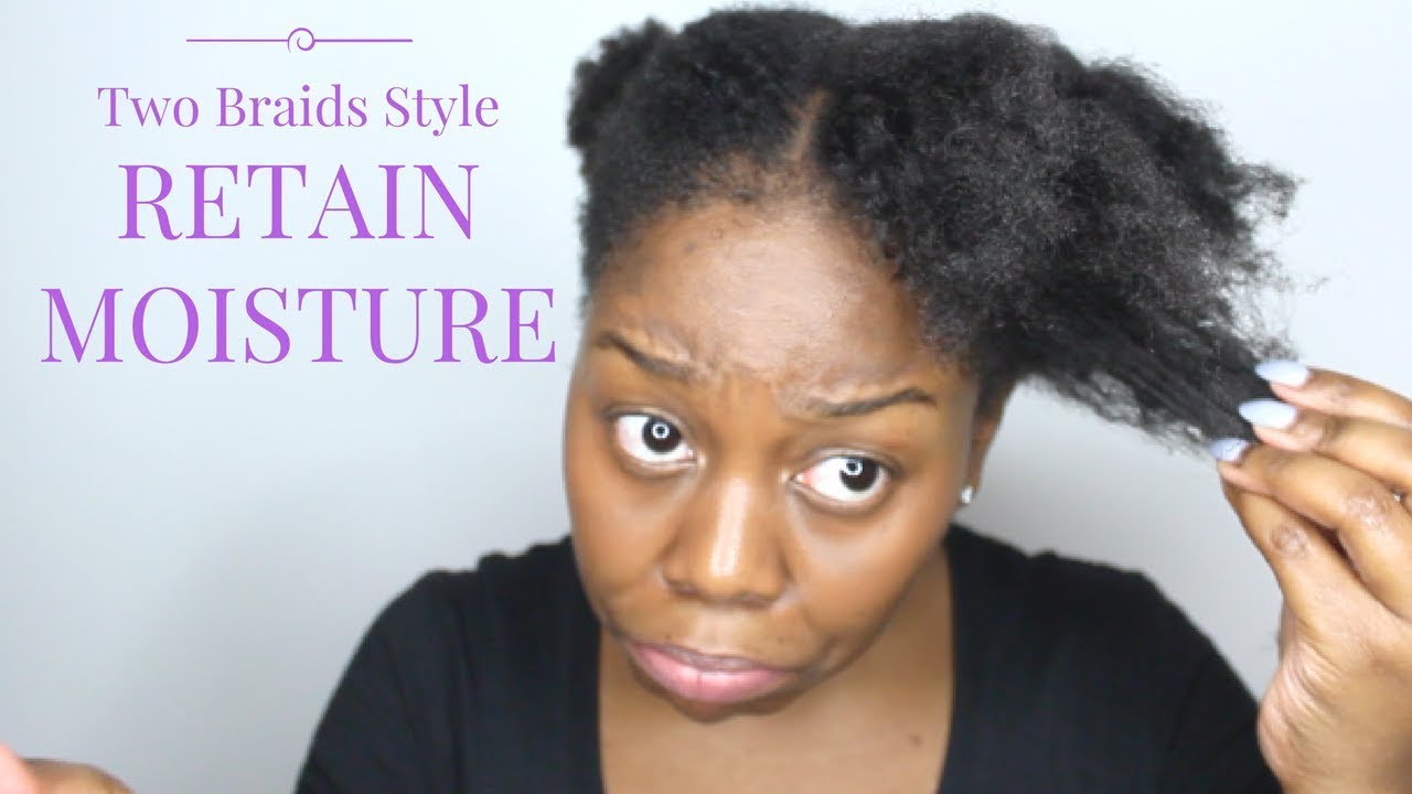 Moisturise Two Braids Styles in minutes ⏰ | Retain Moisture + Shine
