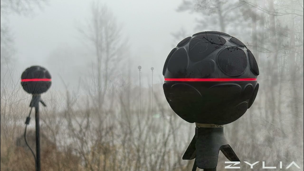 Binaural ambient sound of Riverine Forests of Mechlin (ZYLIA ZM-1 microphone)