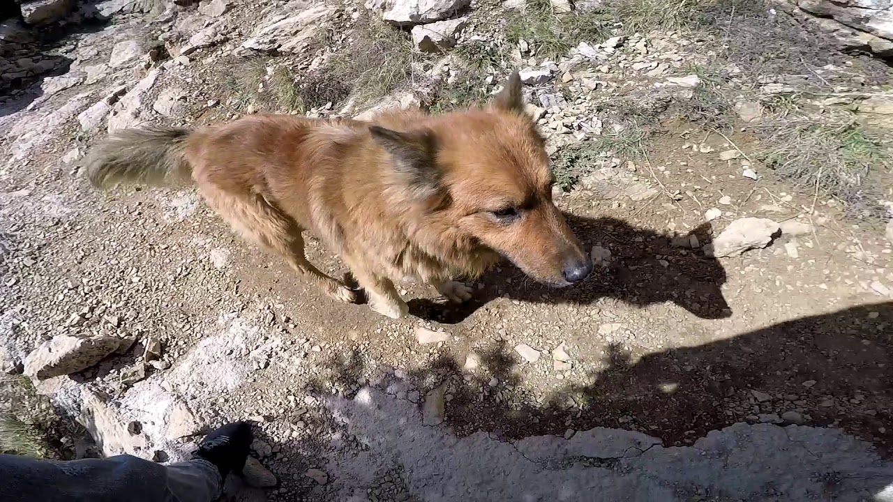 Azrou n Thor ''col de tirourda