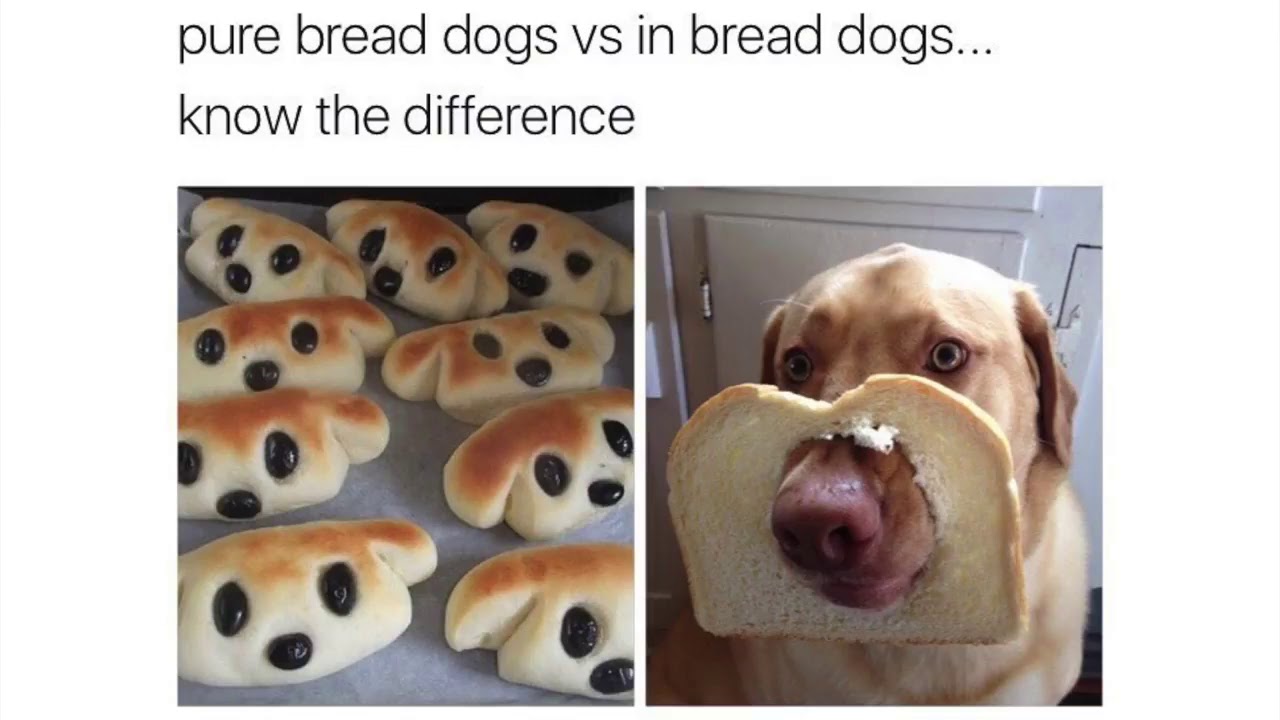 Comment Awards 1