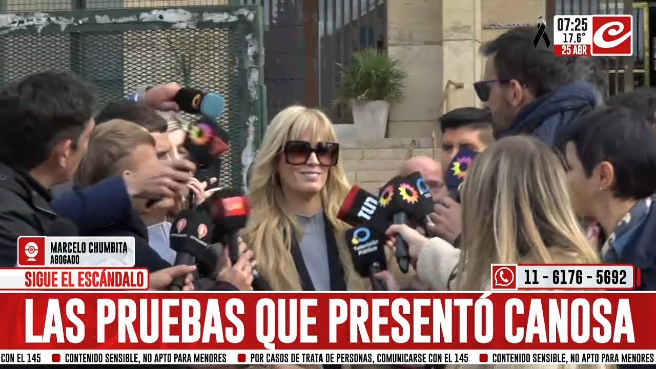 Finaliza el secreto se sumario: ¿cuáles son las pruebas que presentó Viviana Canosa?