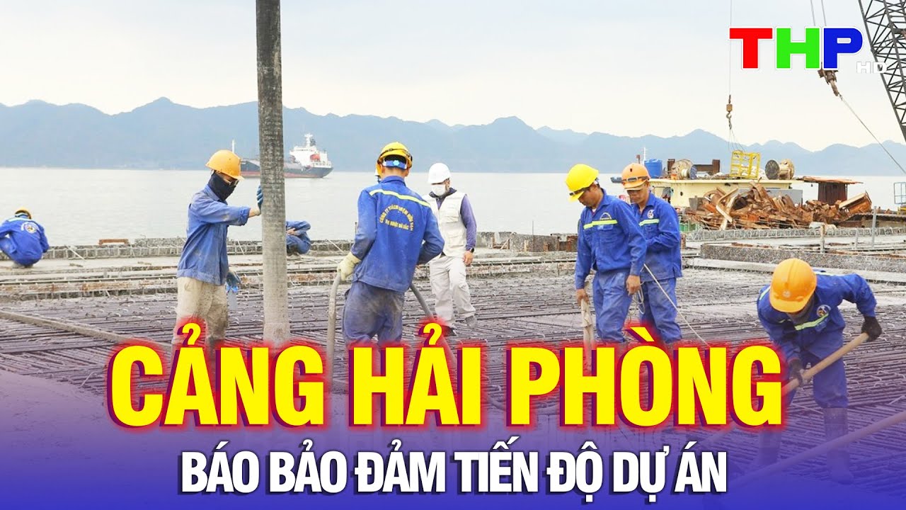 Hải Phòng hôm nay (20/11/2024) | Cảng Hải Phòng báo bảo đảm tiến độ dự án