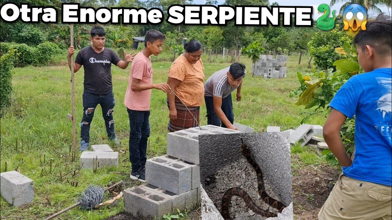 🔴Santo Dios😱 otra SERPIENTE Más🐍 En el Proyecto de MATEO que miedo todos estamos Asustados😱🥲😭