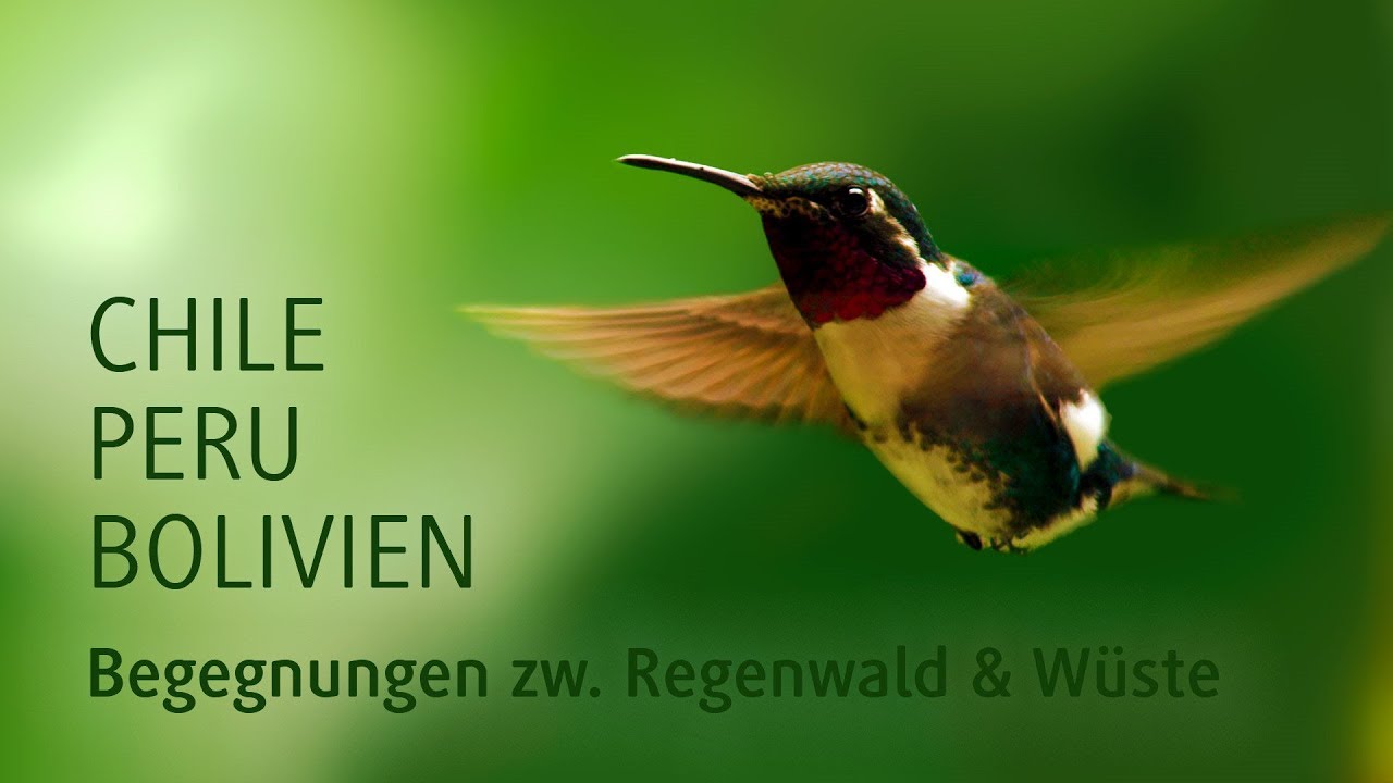Chile, Peru, Bolivien »Begegnungen zwischen Regenwald und Wüste«