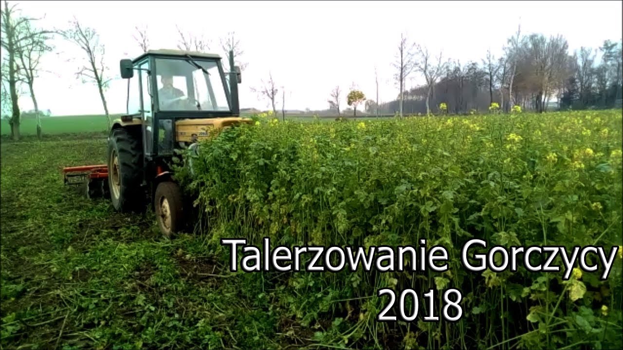 ☆Talerzowanie Gorczycy☆Perkins w Polu☆2018☆Agro Przemek☆
