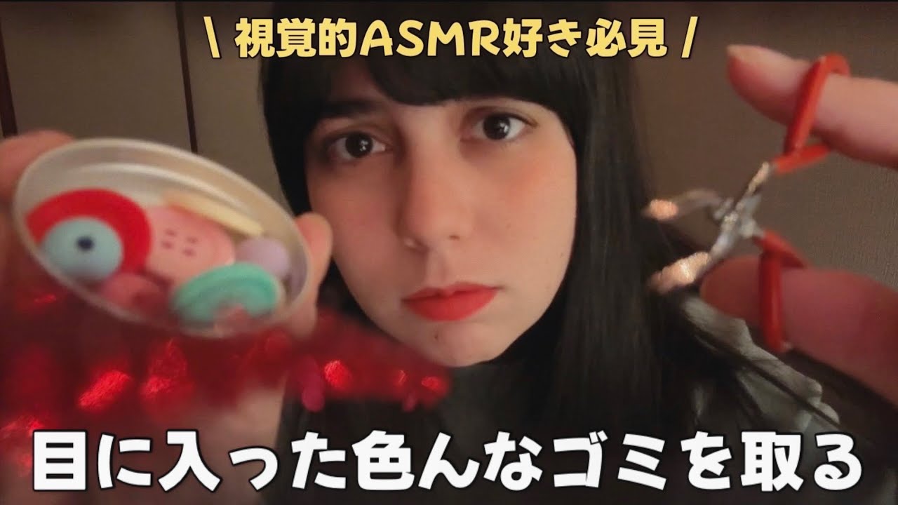 日本語 ASMR | 目に入った色んなゴミを取ってあげる👀視覚的トリガー好きにはたまらない！！😪💤