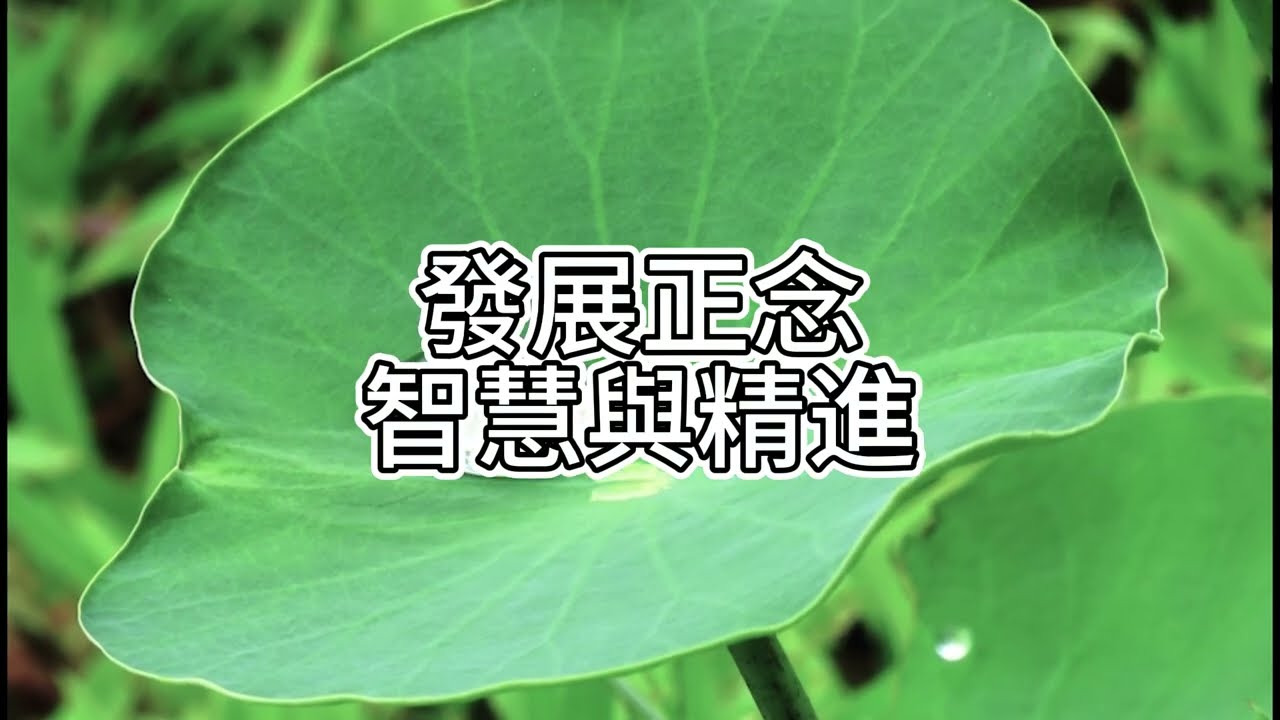 【字幕】 禪修可以幫助改善嫉妒心嗎？ |   阿贊耀答問 2026-01-10 （廣東話）