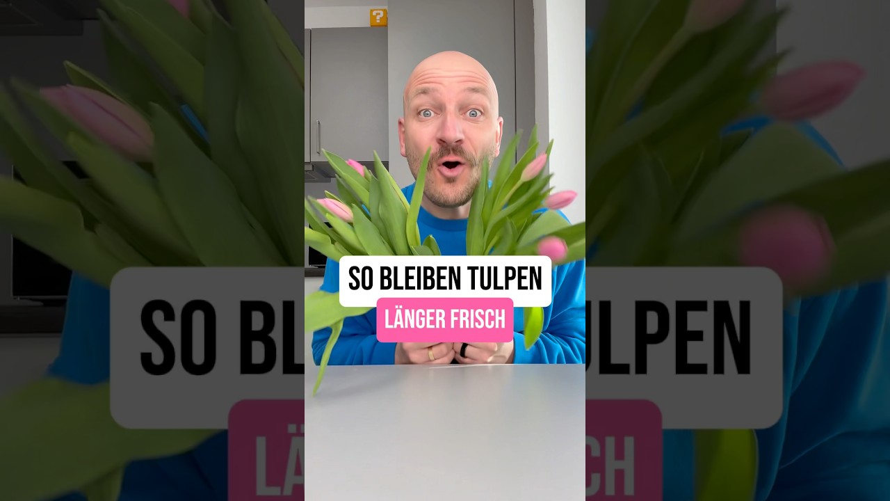 So bleiben Tulpen l&auml;nger frisch! 🌷😃
