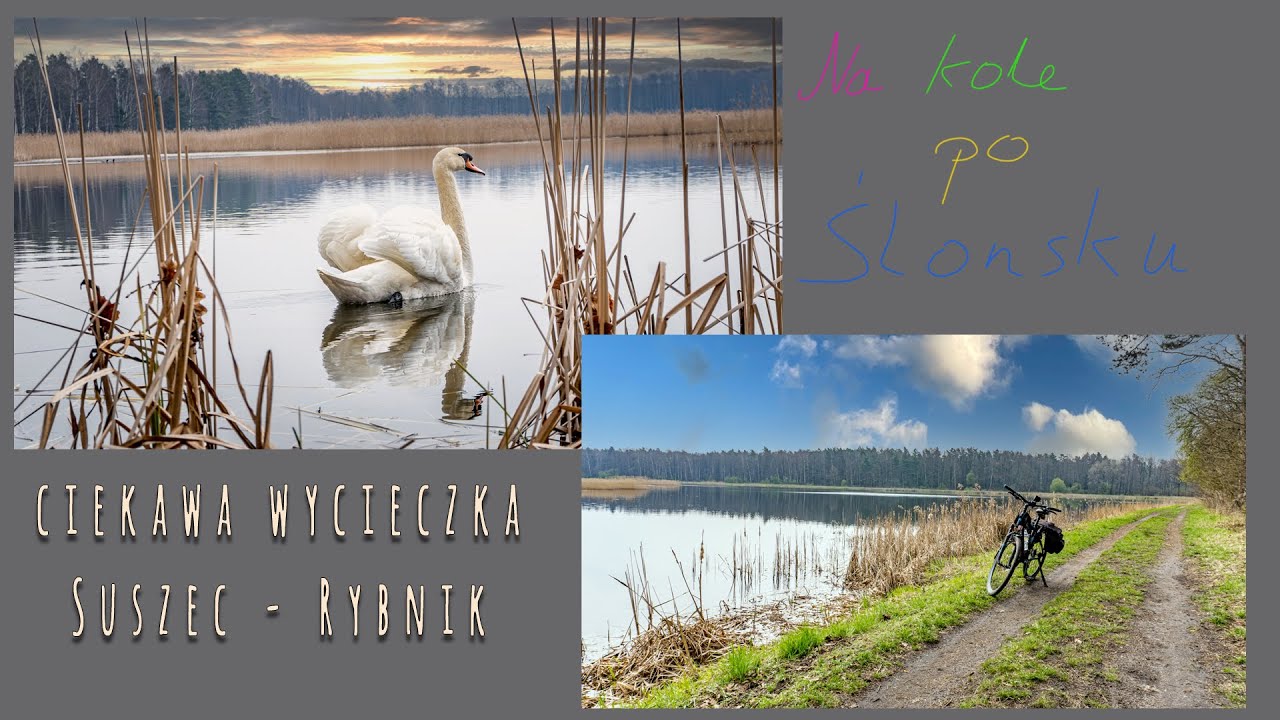 Ciekawa alternatywa zielonego szlaku nr 10 Suszec - Rybnik