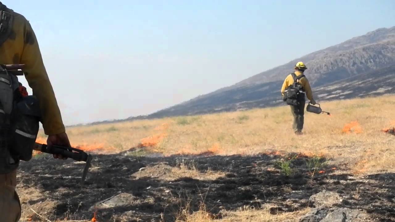 Wildland Living - Oregon & Nevada  2012