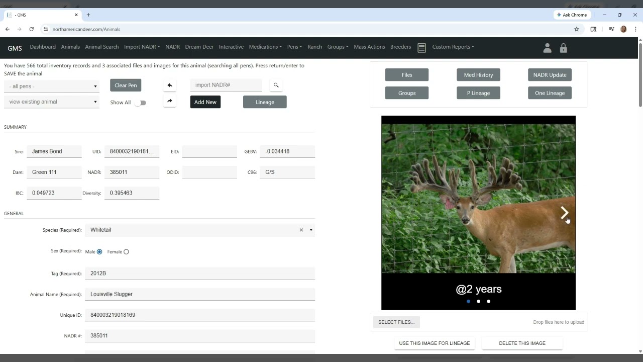 How To Select Photo for Animal Profile and Lineage Pages