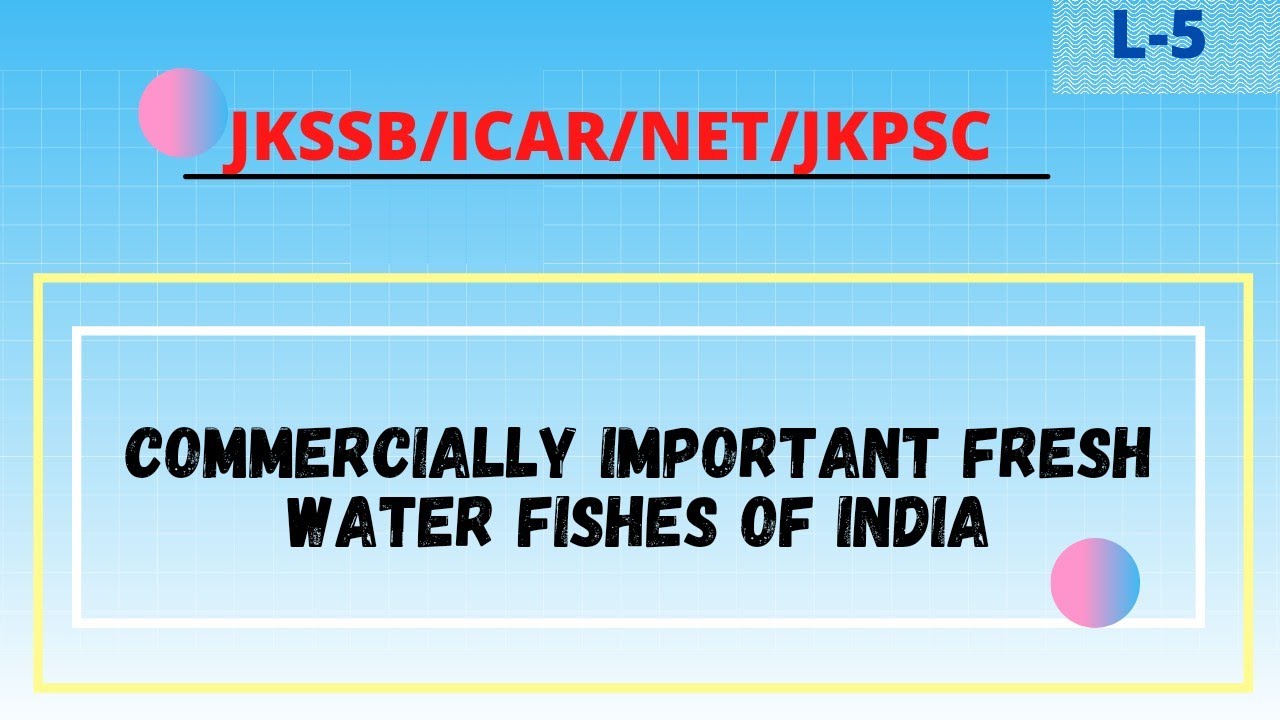 Commercially Important Freshwater Fishes Of India | Jkssb Exam