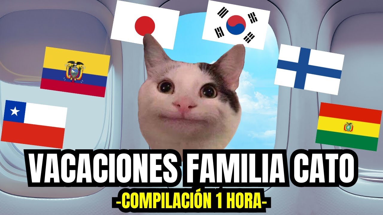 VACACIONES FAMILIA CATO 2 , compilaci&oacute;n de 1 hora (meme de gatos)