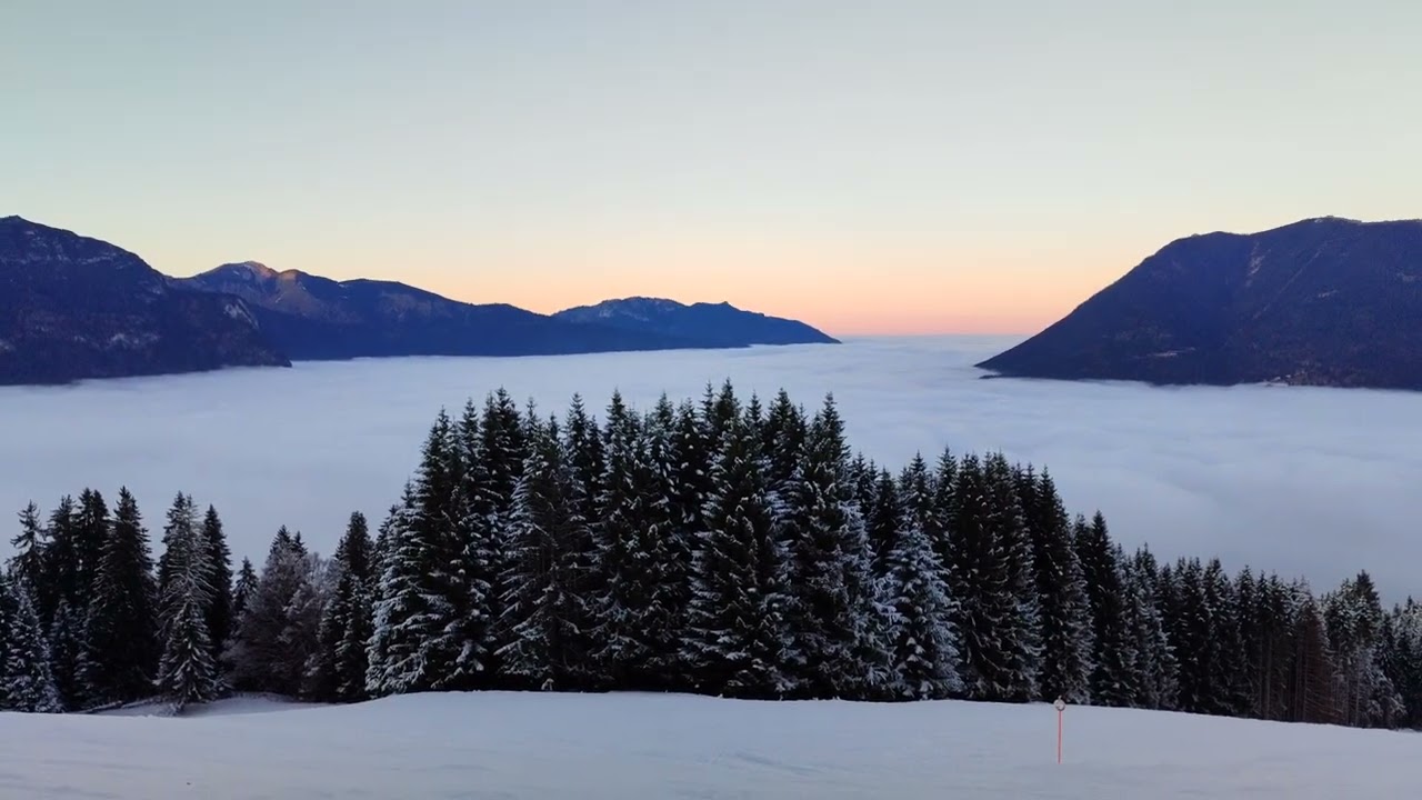Море із туману в Альпах 😍 25.12.2025