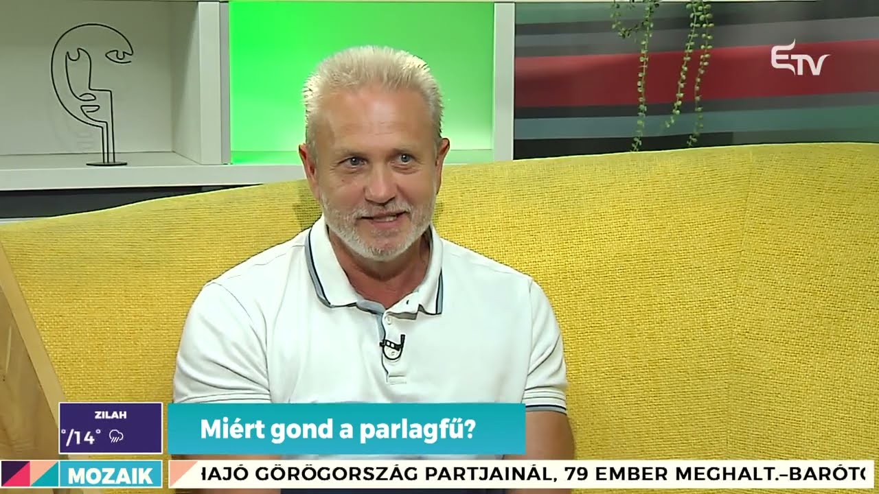 Miért gond a parlagfű? – Mozaik
