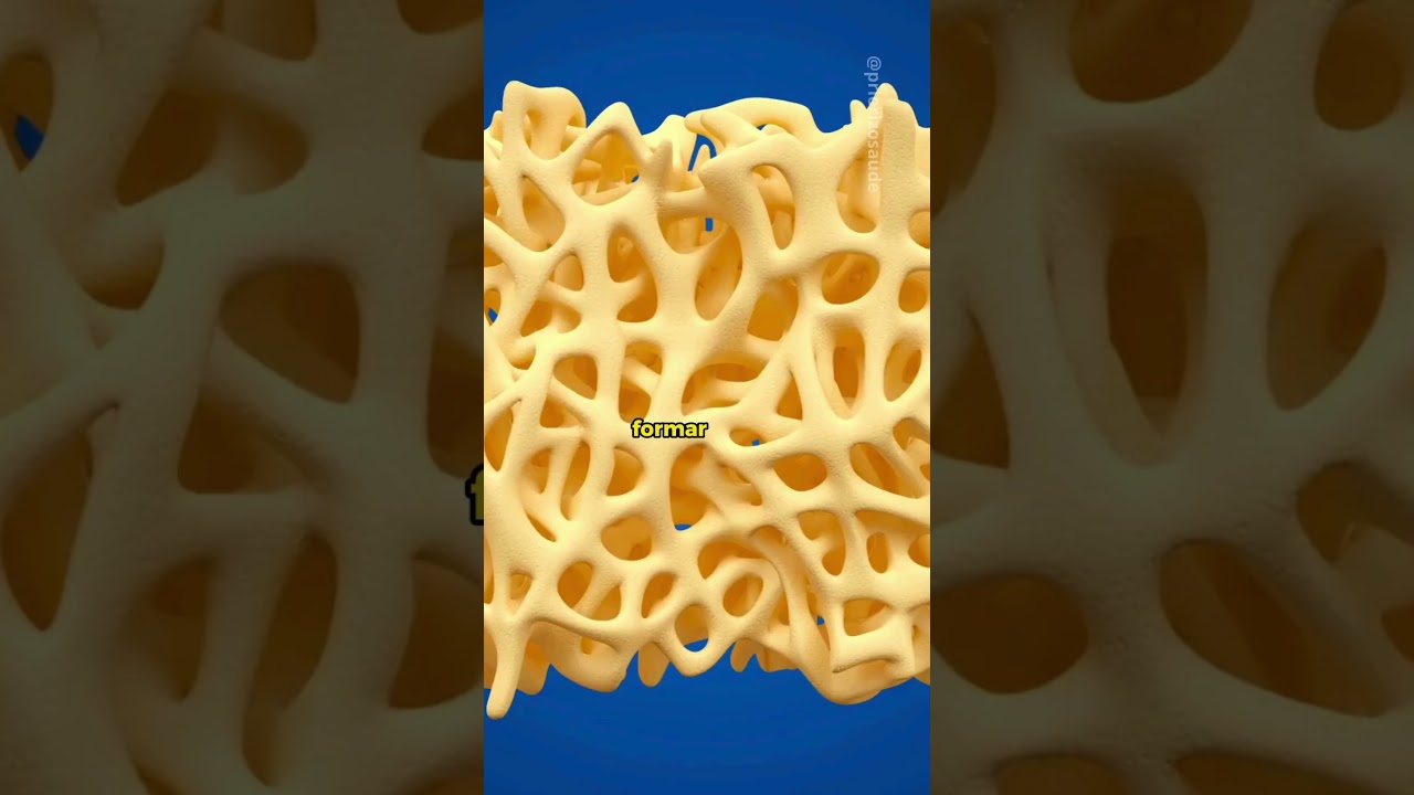 REFORCE sua massa &oacute;ssea e diga ADEUS para sua OSTEOPOROSE.