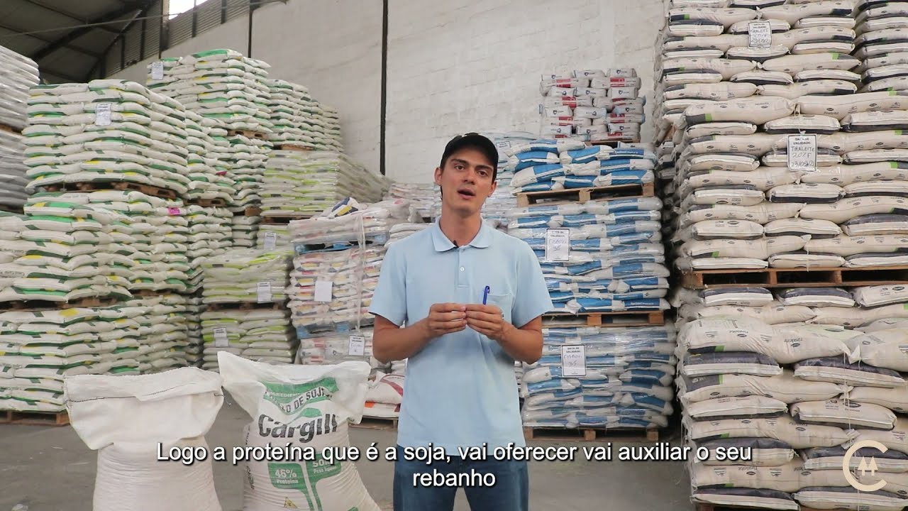 SOJA NA ALIMENTAÇÃO ANIMAL