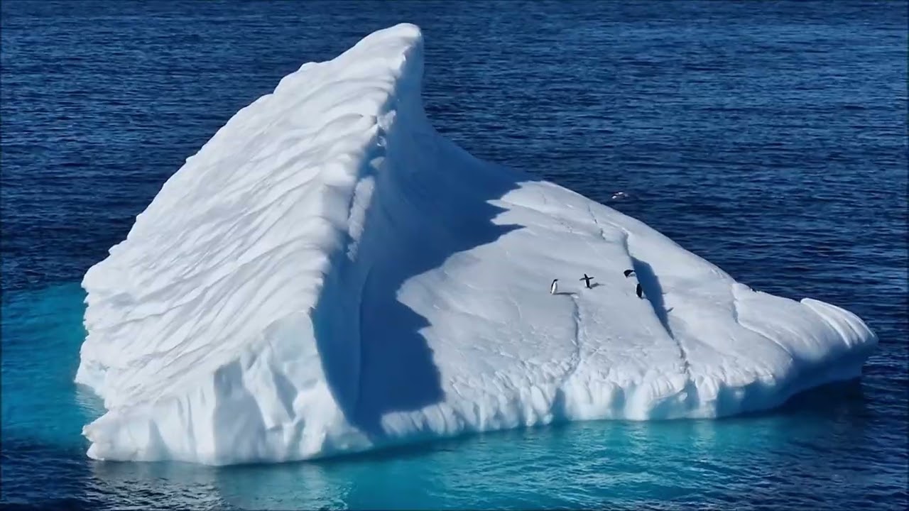 Holland America Antarctica Cruise