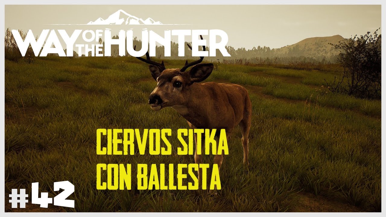 CIERVOS SITKA CON BALLESTA - AURORA SHORES | ⛰️WAY OF THE HUNTER #42