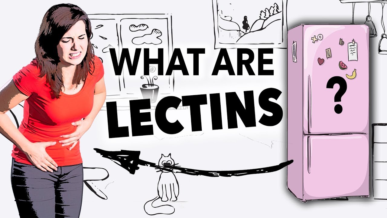 What Are Lectins?