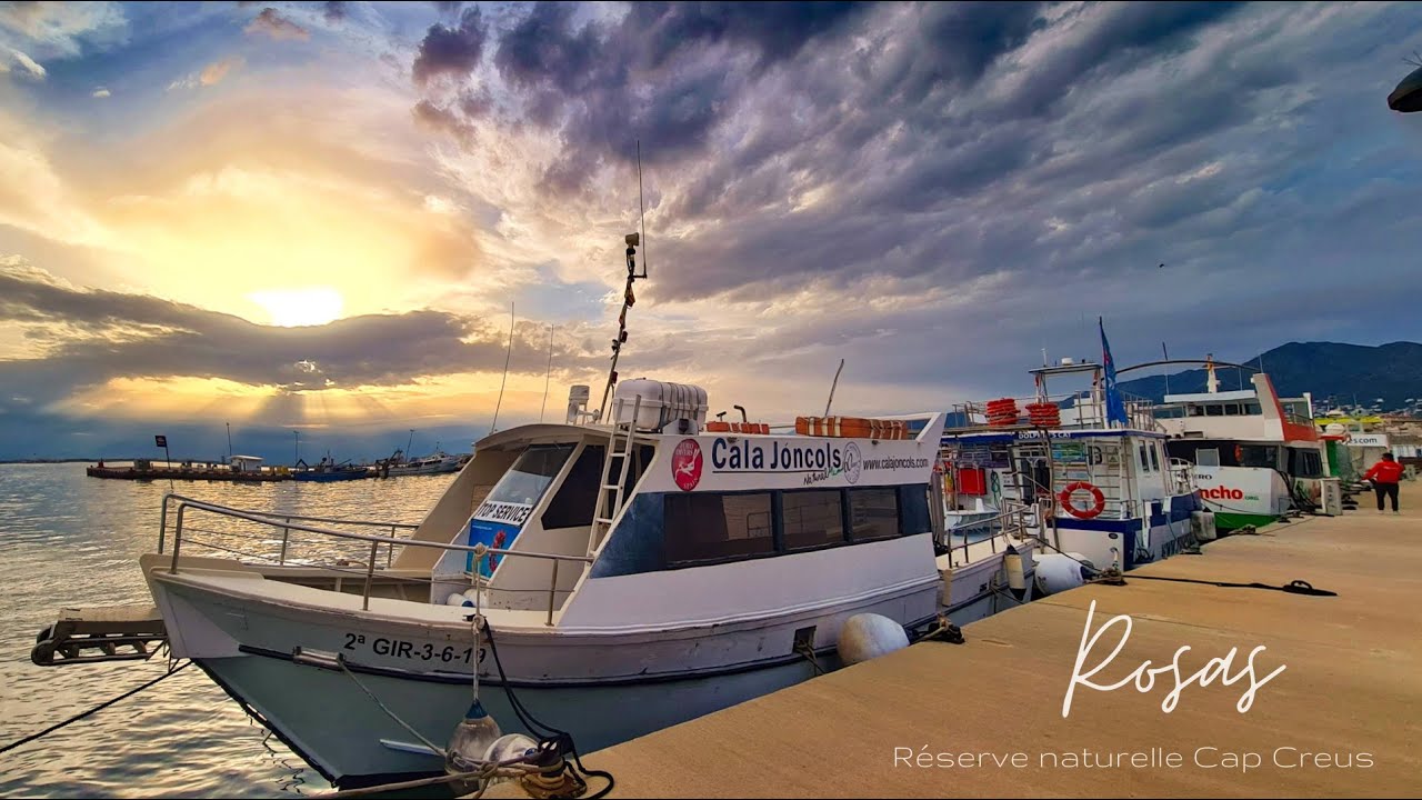 Plongée dans la réserve naturelle de Cap Creus - avec Euro Divers à Rosas
