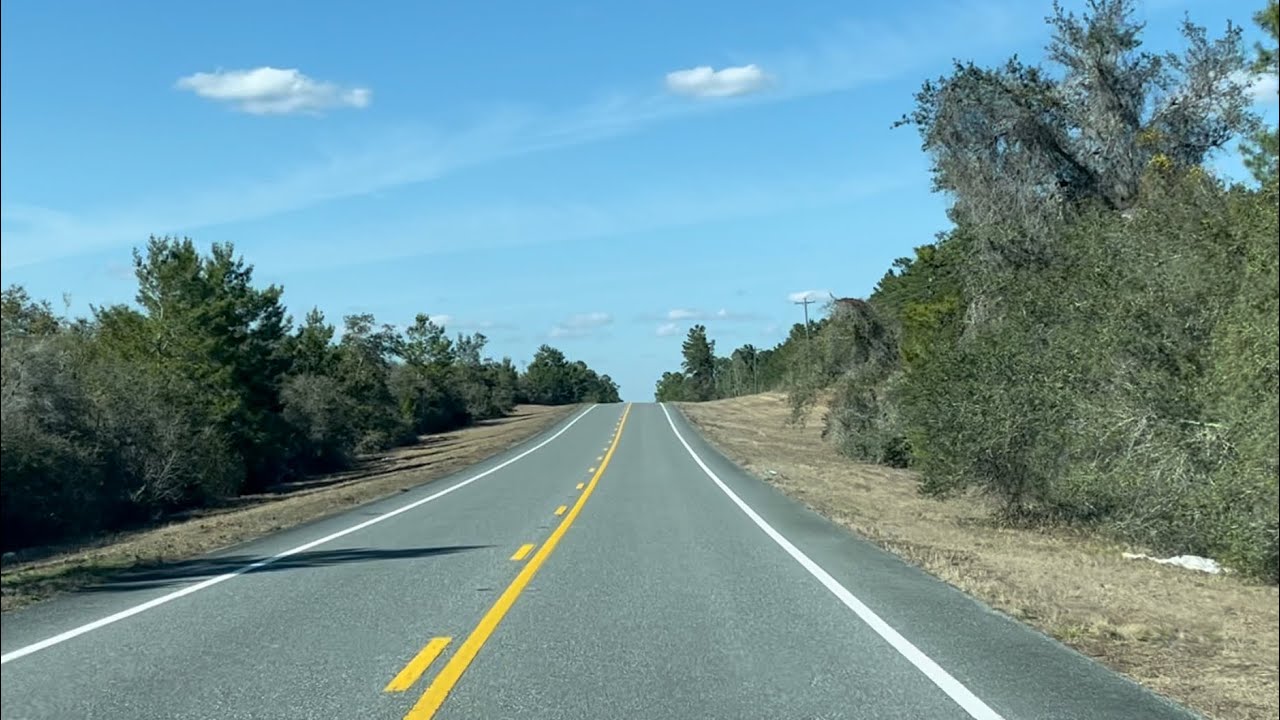 Ocala National Forrest ~ Black Bear Country 2022