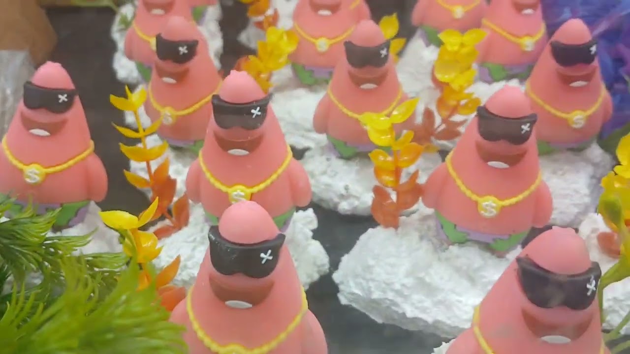 Peixinhos coloridos feira da parangaba 