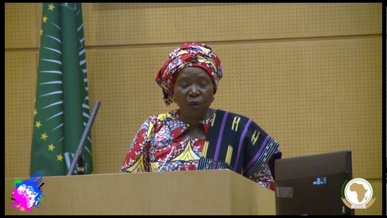 Remarks by the Chairperson of the African Union Commission