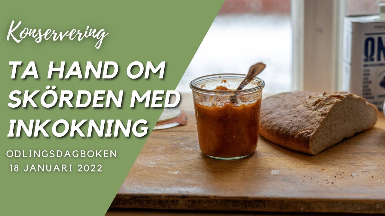 Ta hand om sk&ouml;rden med konservering - Odlingsdagboken 18 Januari 2022