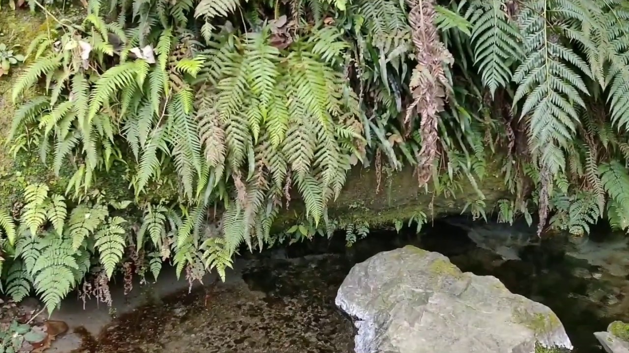 平成の名水百選  普現堂湧水源 撮影（鹿児島県志布志市有明町）