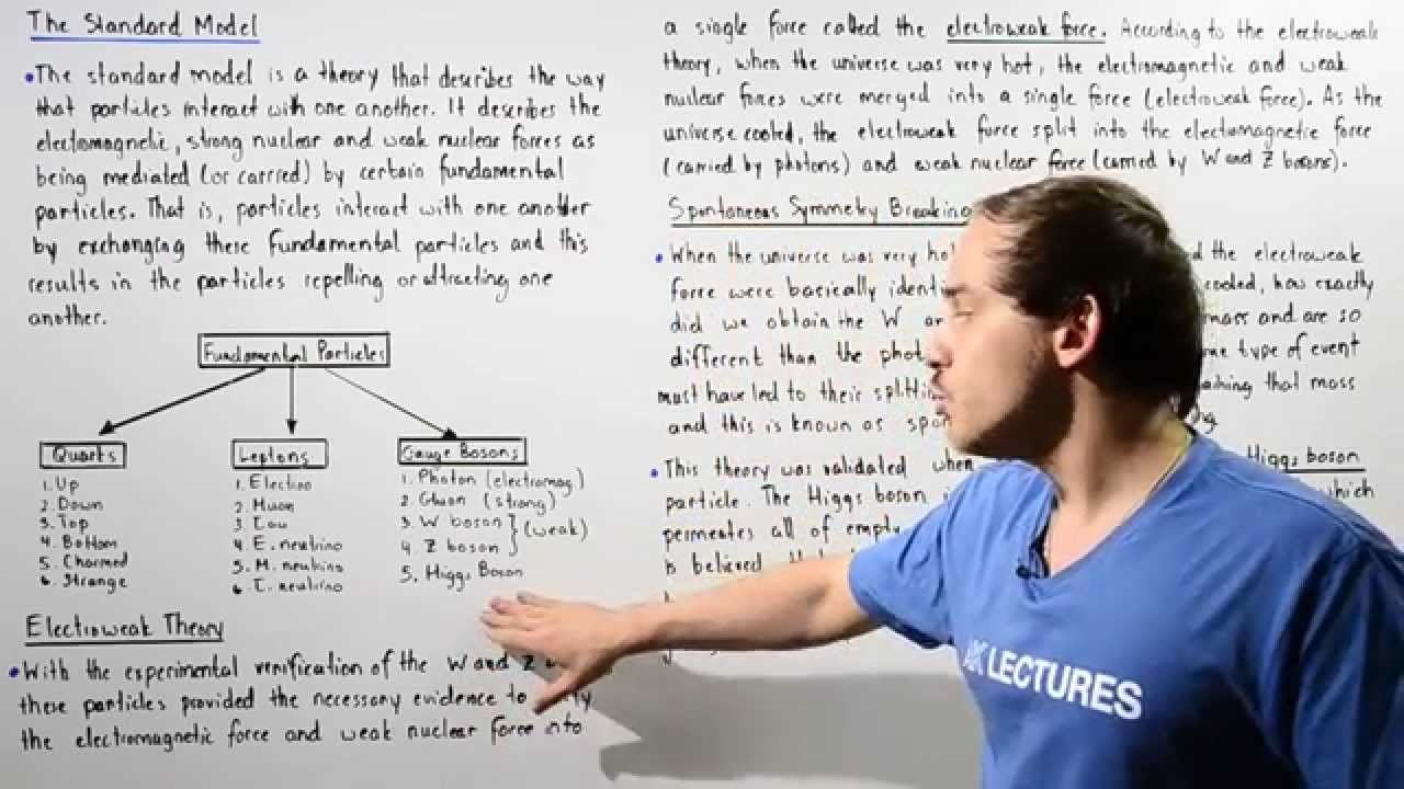 Standard Model, Electroweak Theory and Higgs Boson Particle