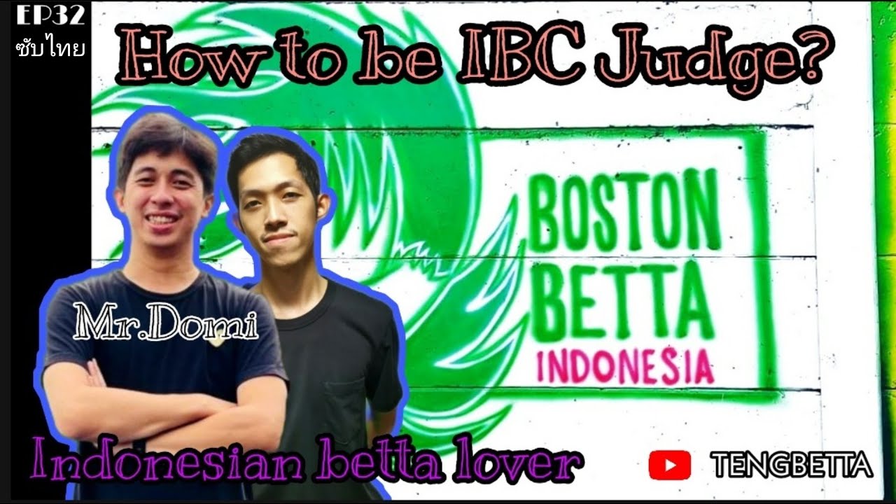 (ซับไทย) How to be IBC Judge with Domi Boston Betta| TENGBETTA EP32