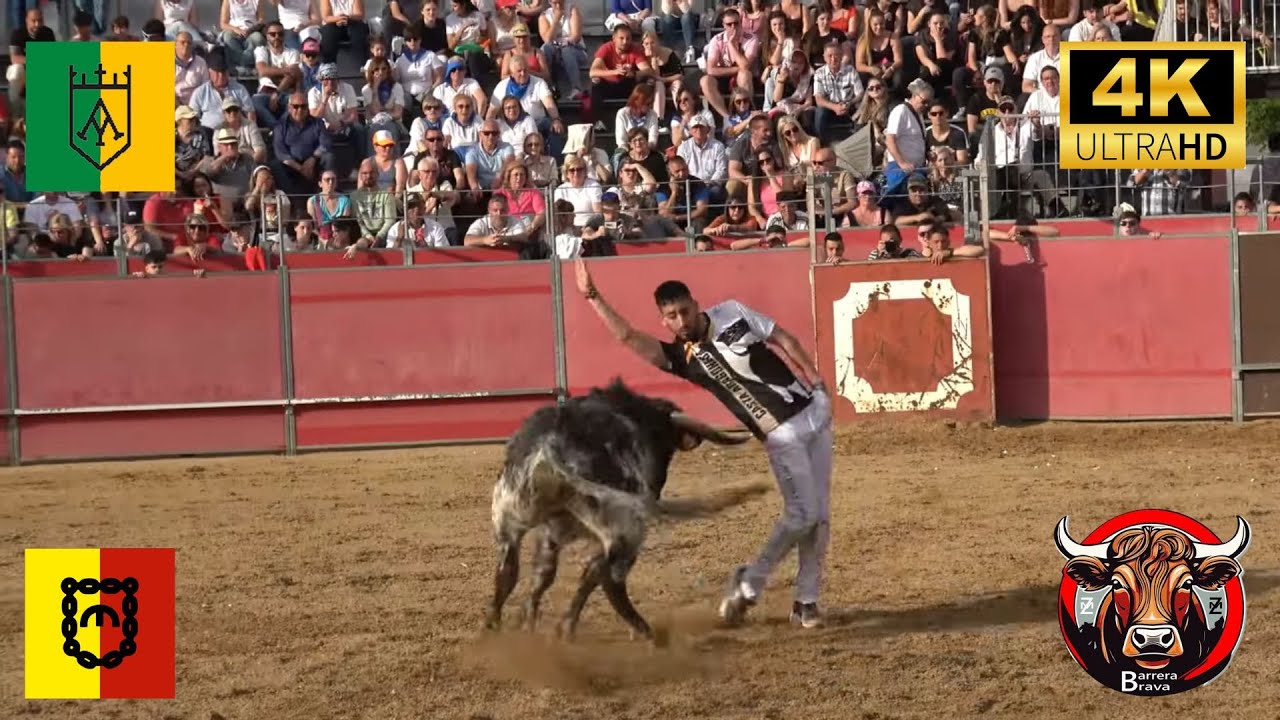 Casetas. Concurso de Recortadores SUB 27 | 01/05/2025 | 4K