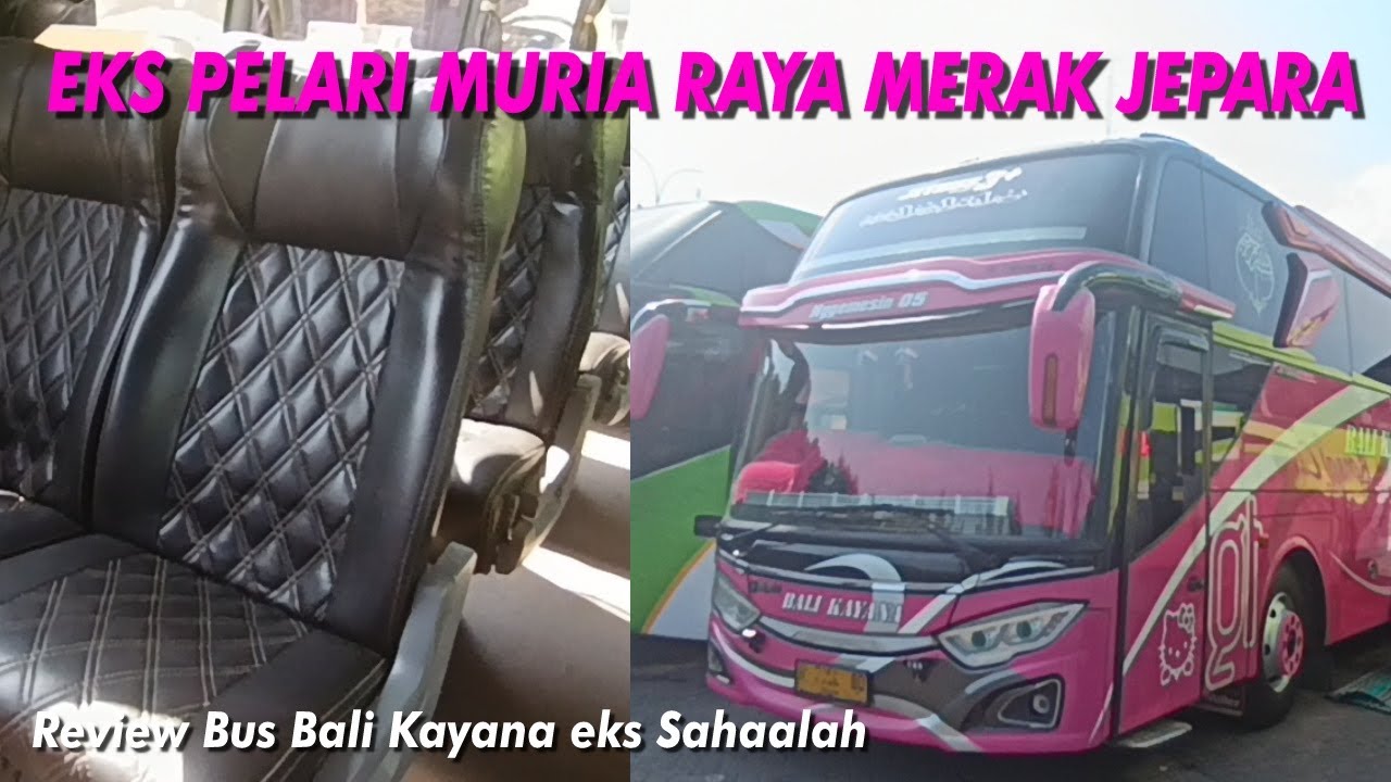 Eks New Shantika Sahaalah tim Jepara Merak? Review Bus Terbaru Bali Kayana Rute Denpasar Purwodadi 