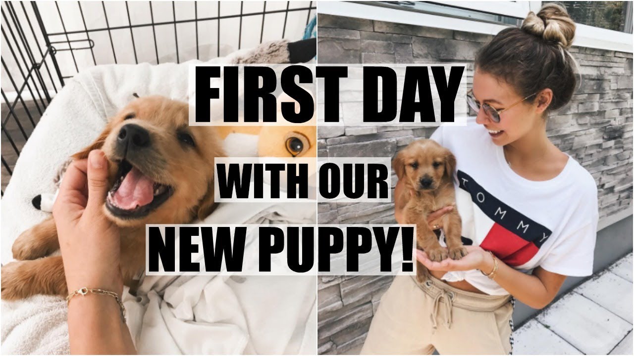 First Day With Our New Puppy!