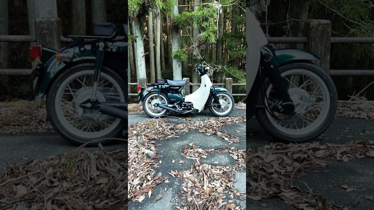 Emotorcyclez HONDA Little Cub 88 #リトルカブ#玄関モータース